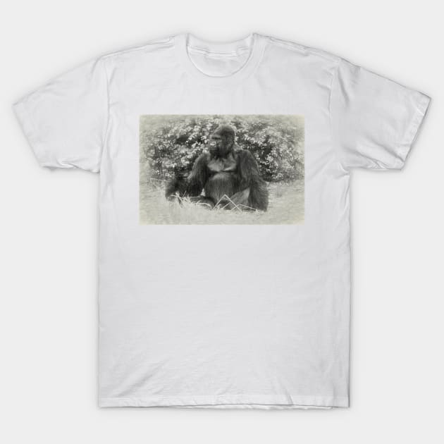 Male gorilla sitting on the ground T-Shirt by Russell102